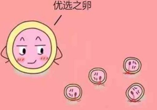 杭州代生供卵公司：﻿调整心态保持心情愉快，增加试管移植后的成功率